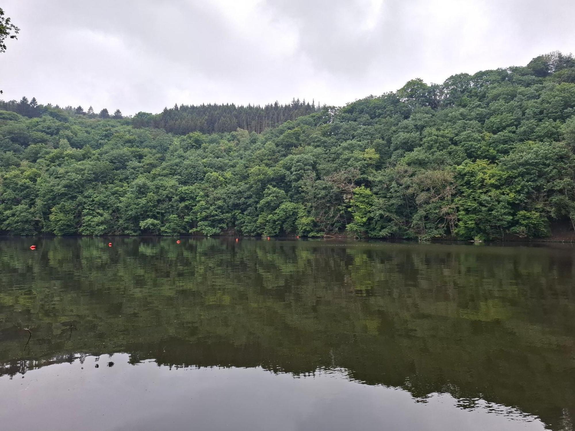 Vila Het Vlindertje Durbuy Exteriér fotografie